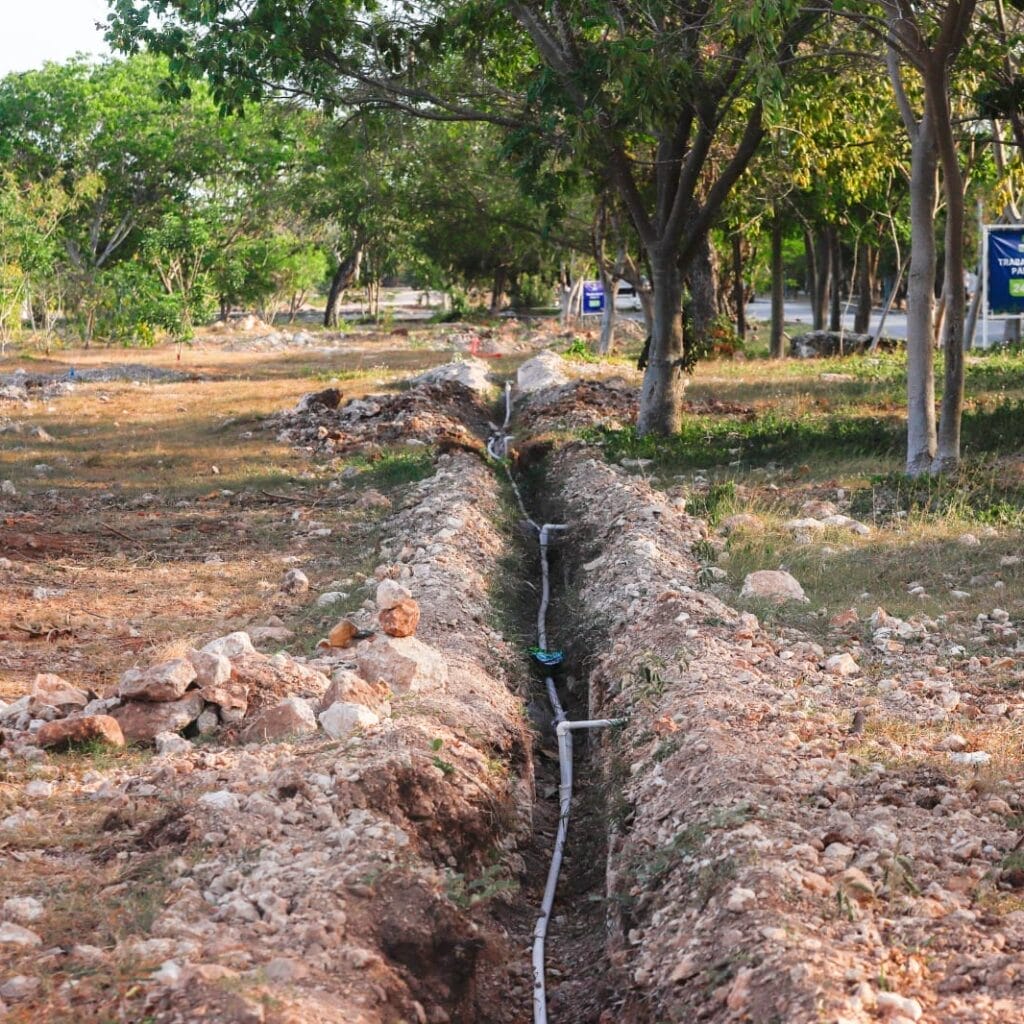 Ciudad Caucel tendrá enorme corredor verde con más de 500 árboles