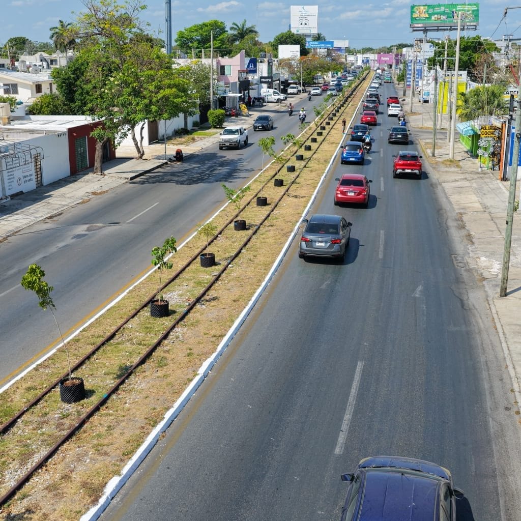 Mérida busca combatir el calor y aumentar áreas verdes