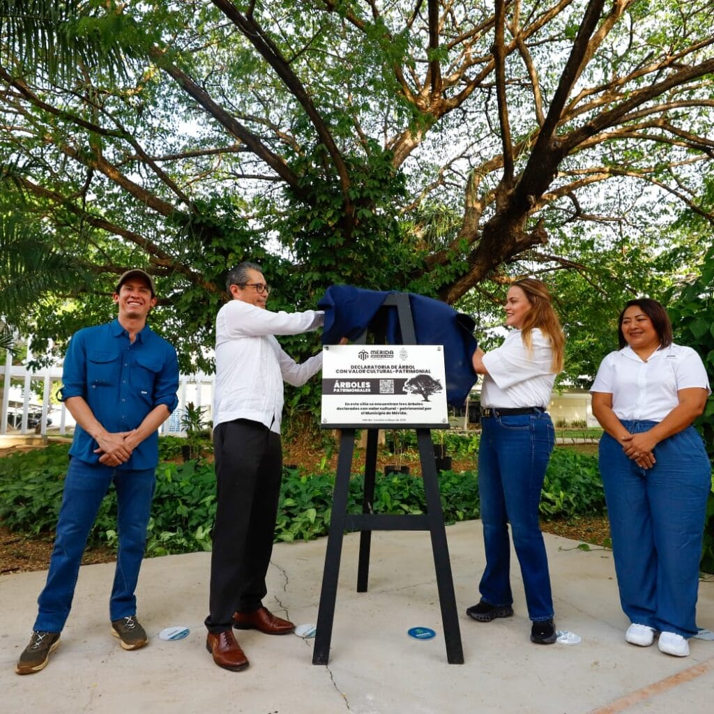 Cecilia Patrón convierte árboles históricos de Mérida en patrimonio de la ciudad