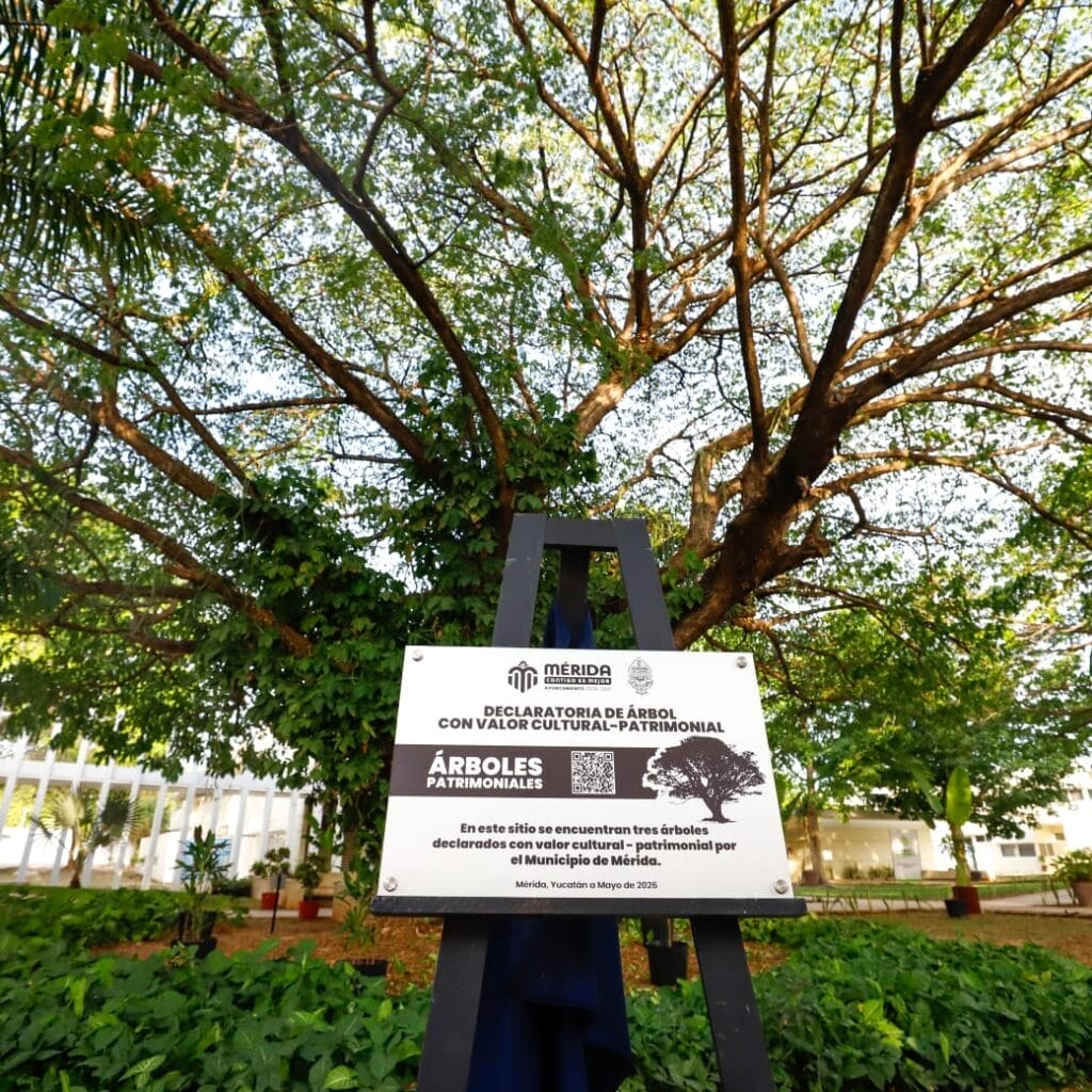 Buscan una Mérida más fresca y sostenible