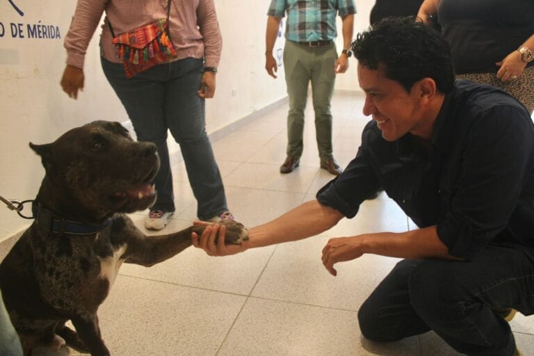 Perrito Zeus regresa a su hogar tras concluir seguimiento de la UPA