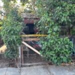 tomó la fatal decisión en San Felipe por sus malestares
