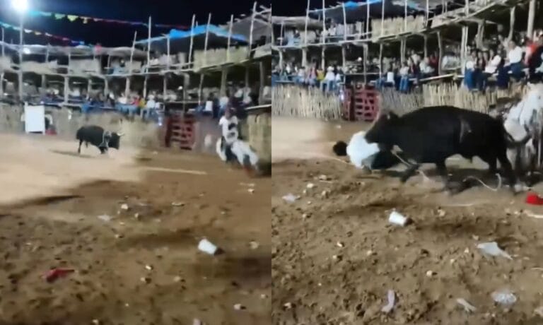 VIDEO: Joven vaquero es brutalmente corneado por un toro dentro de un coso taurino en Buctzotz