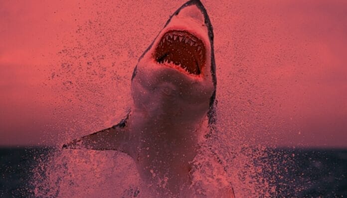 Vacaciones de terror: chamaco y chavito son brutalmente mutilados por un tiburón (VIDEO FUERTE)